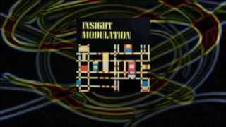 INSIGHT MODULATION by Zanagoria (Official Video)