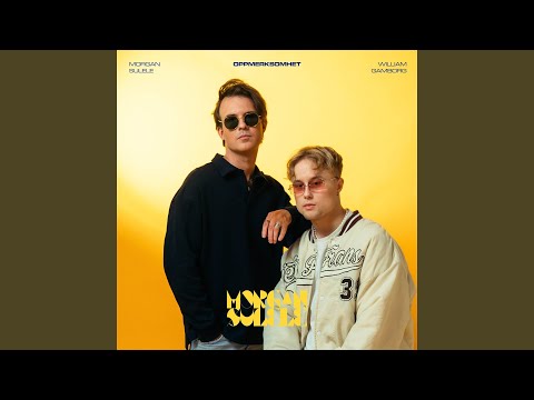 Oppmerksomhet - Morgan Sulele