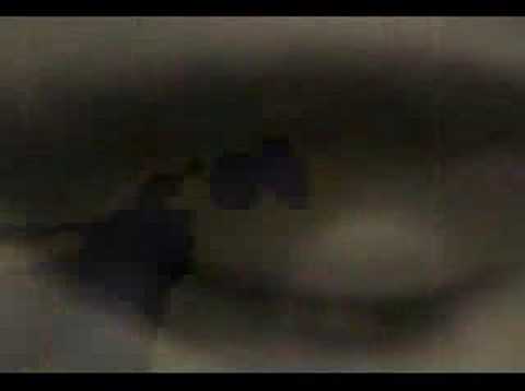 Logia Marginal "desobediencia"