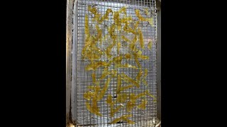 Candied orange peels… Far better than Wally World