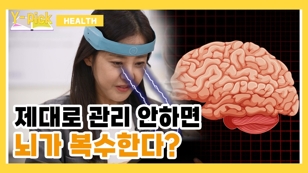 제대로 관리 안하면 뇌가 복수한다? | Y-Pick 3-3화