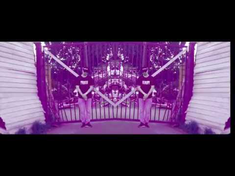 Toluhaukat - Kuppi Nurin