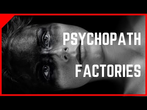 18 Months Until the Point of No Return | MASS PSYCHOSIS