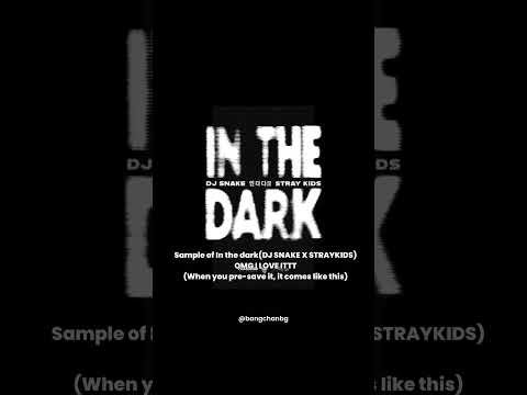 #straykids DJ SNAKE X STRAYKIDS IN THE DARK #scoupsxhannie#bangchanbg#skz#skzedit#스트레이키즈