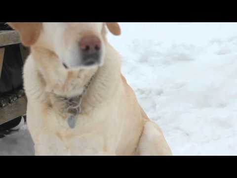 Made To Change - Ruby Coast (Music Video Promo 2)