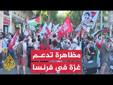 فيديو | رفعت أعلام فلسطين.. مظاهرة في فرنسا تطالب بالإفراج عن ناشط لبناني