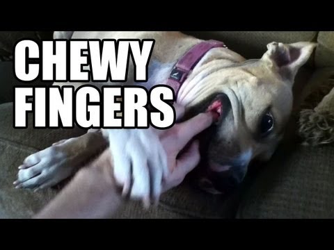 Chewy Fingers (ft CUDDLES)
