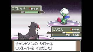 ポケモンプラチナ　シロナ戦　ブレイブバーダーになったムクホーク