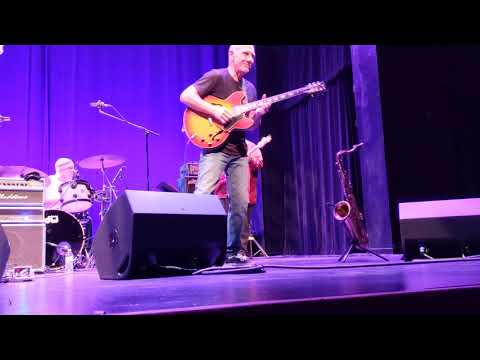 Larry Carlton Live Room 335