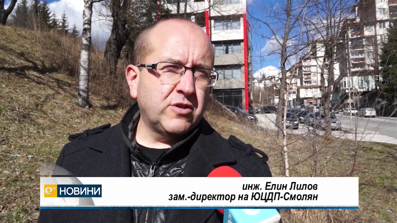 Наплив от фирми за повалената от урагана дървесина