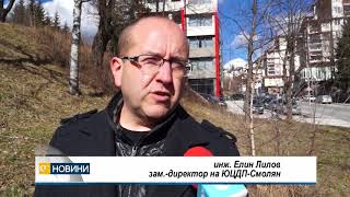 Наплив от фирми за повалената от урагана дървесина