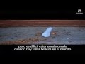 MOTIVATIONAL WHISTLE American Beauty The Last Second Of Your Life