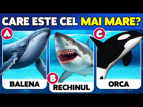 ✅ Cât de bine cunoști ANIMALELE MARINE? 🐳🐬🐠 Test de Cultură Generală