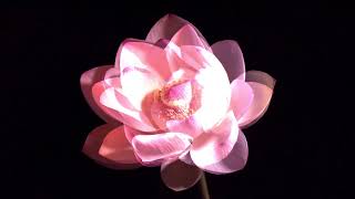 James Blake - If The Car Beside You Moves Ahead (Unofficial Music Video)