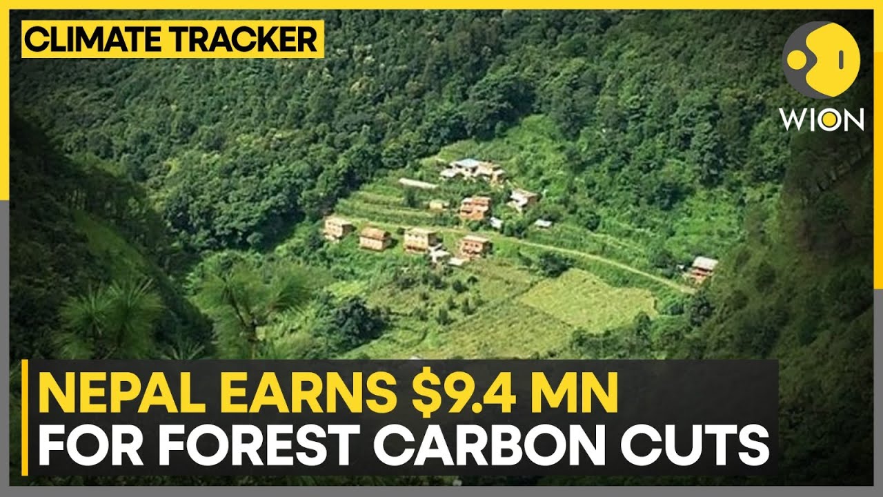 Nepal Gets Paid for Cutting Carbon Emissions | WION Climate Tracker