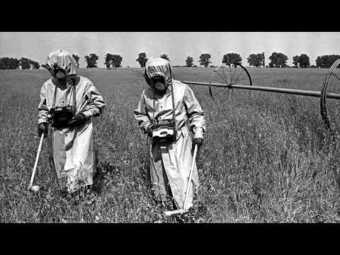 Schiere - Detector (Original Mix)