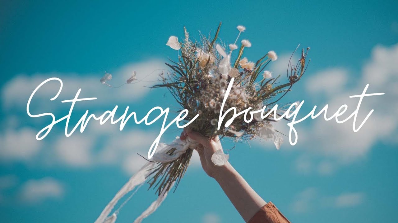 猫田ねたこ[Netako Nekota] - Strange bouquet (Official Lyric Video)