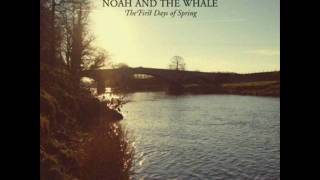 Noah and the Whale - Love of an Orchestra