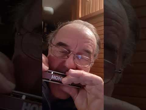 Sva nok mi bilbil prepeja.Makedonska narodna pesma.