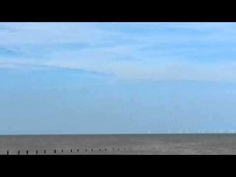 Tipu khan v Shahzad Alam - beach paich