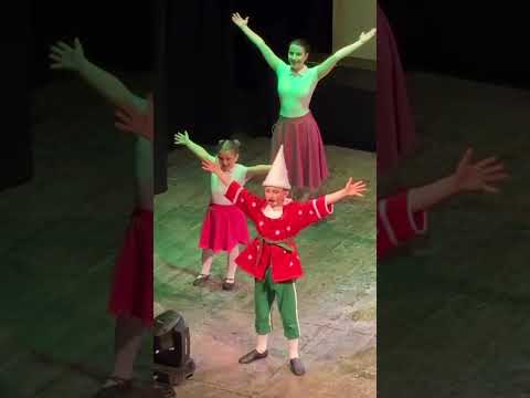 Pinocchio Il Musical della CMA: “Un successo preannunciato”