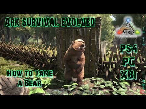 How to Tame a Bear | Dire Bear | ARK: Survival Evolved | PC | PS4 | XB1