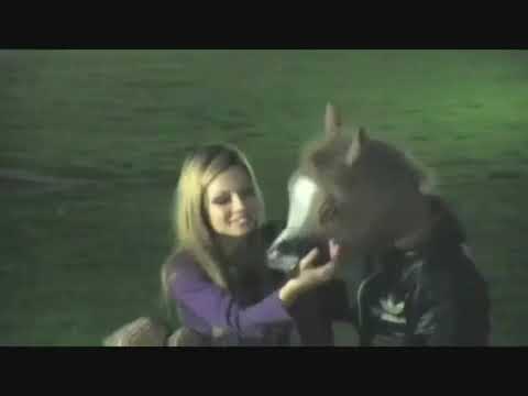 Steve Forest Navigator Piotta vs MC Cavallo - Circus Escape VS Scusa Me La Tocchi La Medusa Mash-up