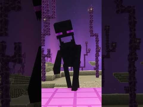 The End MOBS meeting in MINECRAFT! #minecraft #humor