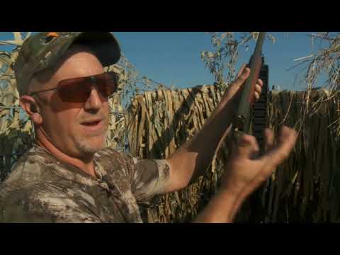 #SundayGunday: CZ-USA Upland Ultra Light All-Terrain