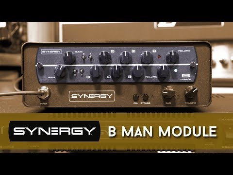 Synergy BMAN 2-Channel Tube Preamp Module image 3