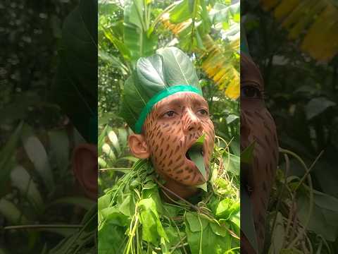 \Bird calls\ #entertainment #shorts #birdsounds #nature #birdcalls #forestbirds #birds