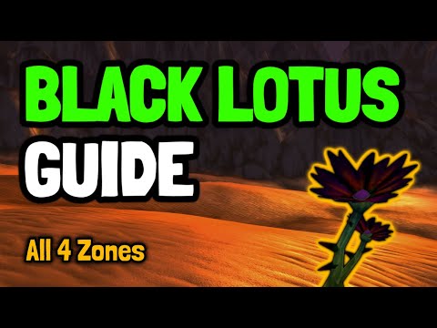 WoW Classic: Black Lotus Guide