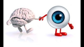 Download the video "How to generate Report of Iris Analysis  | Demo Video | Tutorial Video"