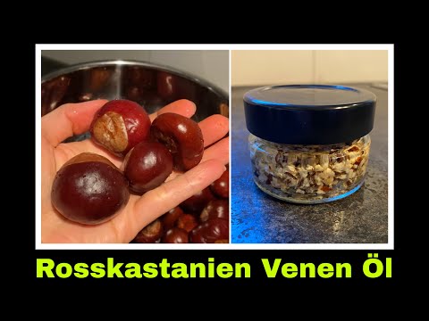 Rosskastanie Massageöl Ölauszug Kastanienöl Rosskastanienöl | Selbstversorgung 