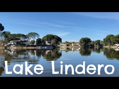 FINAL:  The Recall(s) Failed: Explained