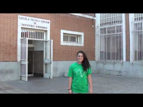 Captura Youtube