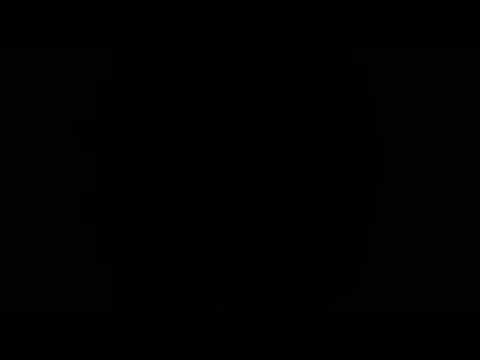 Rodica Olariu  -  Beau redbull live la Lepa Brena