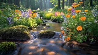 🌷 Deep Relaxation Music 🌿 Clear the Mind, Heal the Heart & Reduce Fatigue