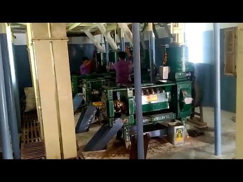 Commercial expeller 6 bolt oil mill plant, capacity: 9.6 ton...