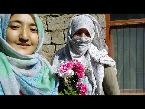 different flowers and fruit seedlings I flower pot | Nursery Plant| Kargil Ladakh| Goma Minjee Kgl