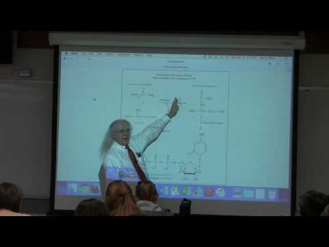 11. Ahern's BB 350 at Oregon State University - Enzyme Control