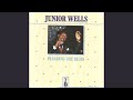 It Hurts Me Too (feat. Buddy Guy Orchestra)