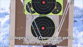 124gr Buffalo Bore +p+ Penetrator G43