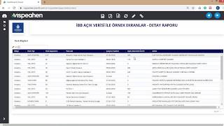Vispeahen Veri Analiz Platformu / İş Zekası Drilldown