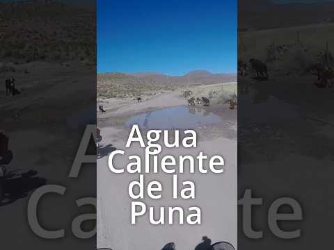 Agua Caliente de la Puna 🏍️, departamento Susques, provincia de Jujuy #motorcycle #himalayan450