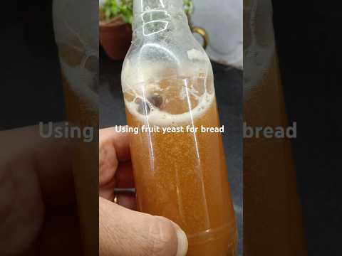 Yeast making episode 2: Using fruit yeast in bread baking #shortsfeed