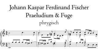 Fischer - Praeludium & Fuge in E - 'Bach' organ, Regensburg, Hauptwerk