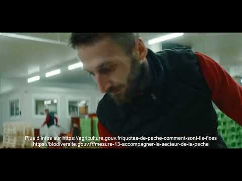 video pavillon france