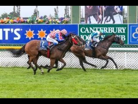 2019 CJC SOUTH ISLAND THOROUGHBRED BREEDERS STAKES