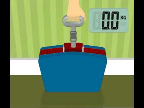 Salter Digital Luggage Scale - Shopeezee.co.uk